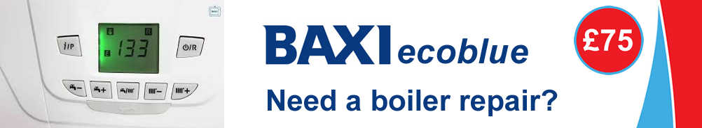 Baxi ecoblue Boiler Error Fault Code E118 in Derby